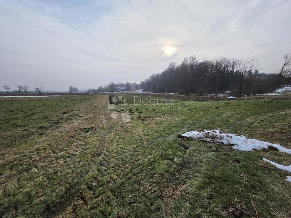 Kmetijsko zemljišče Luka, 3.766m2