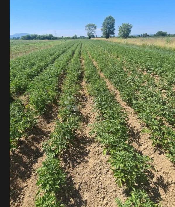 Kmetijsko zemljišče Strmec, Sveta Nedelja, 2.378m2