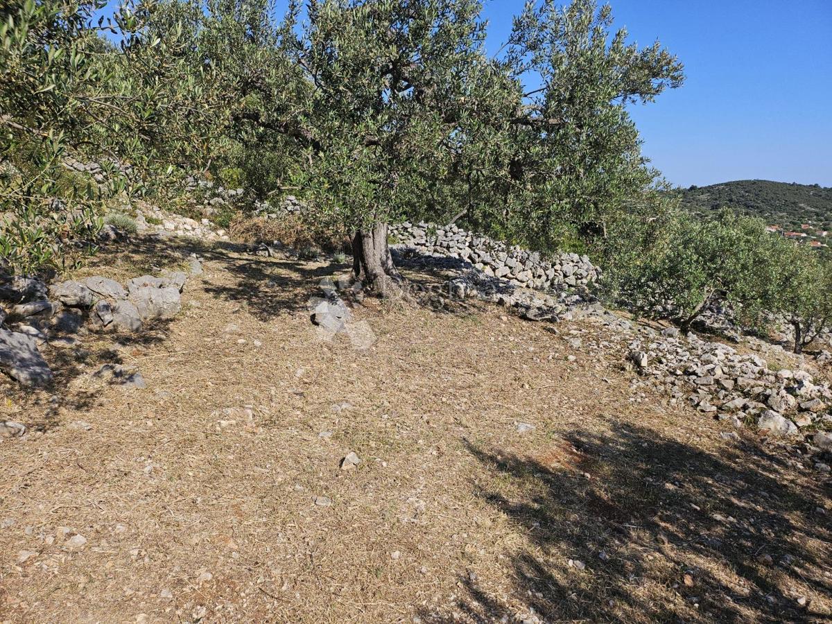 Zazidljivo zemljišče Vinišće, Marina, 1.465m2