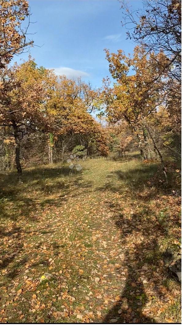 Kmetijsko zemljišče Drniš, 60,99m2