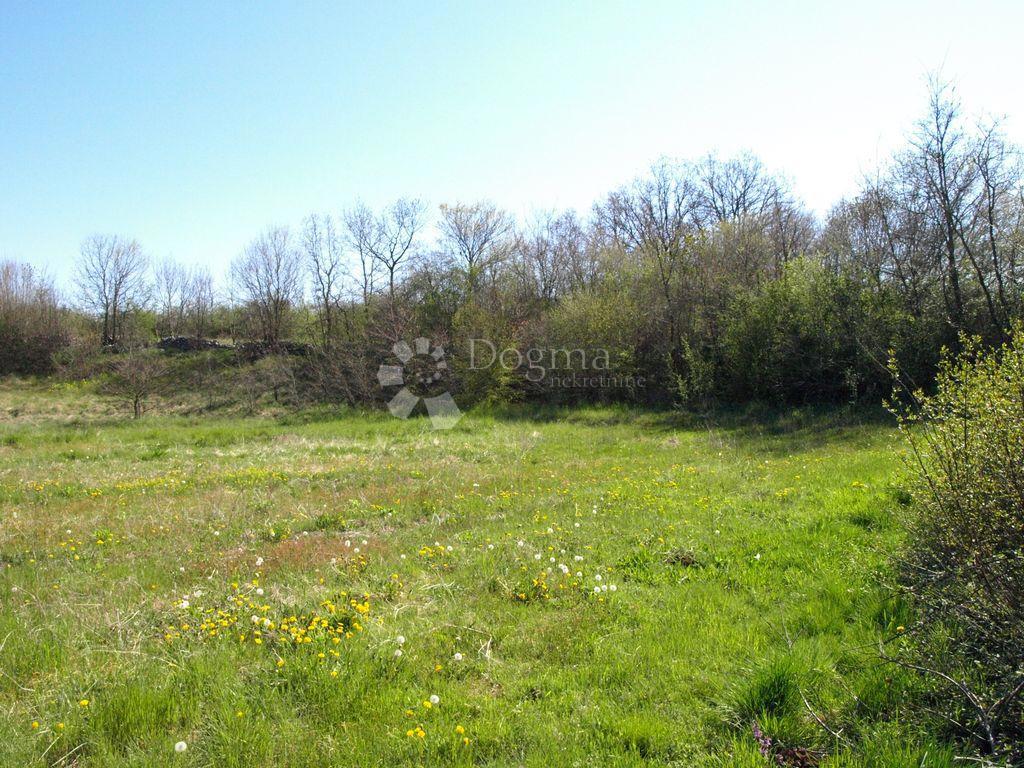 Zazidljivo zemljišče Želiski, Barban, 5.000m2