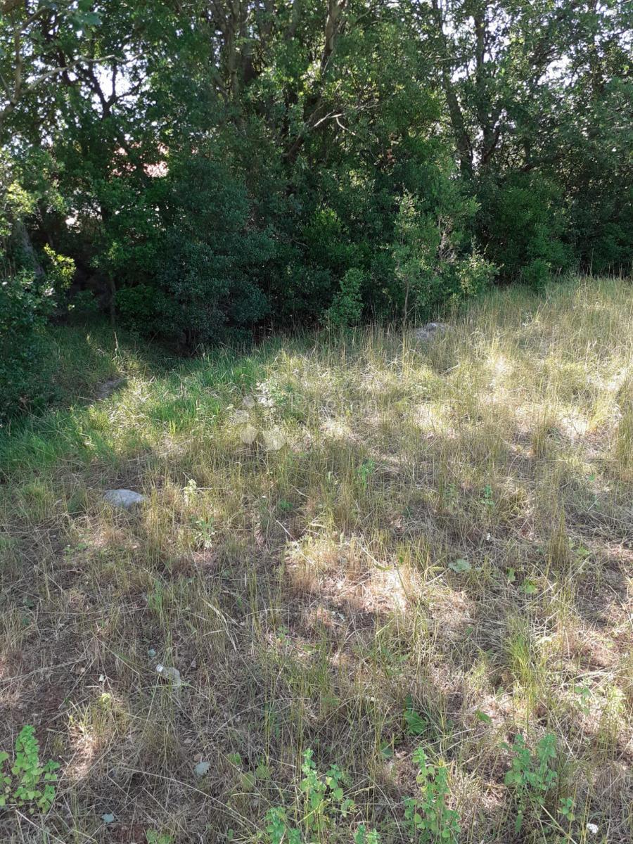 Kmetijsko zemljišče Seline, Starigrad, 537m2