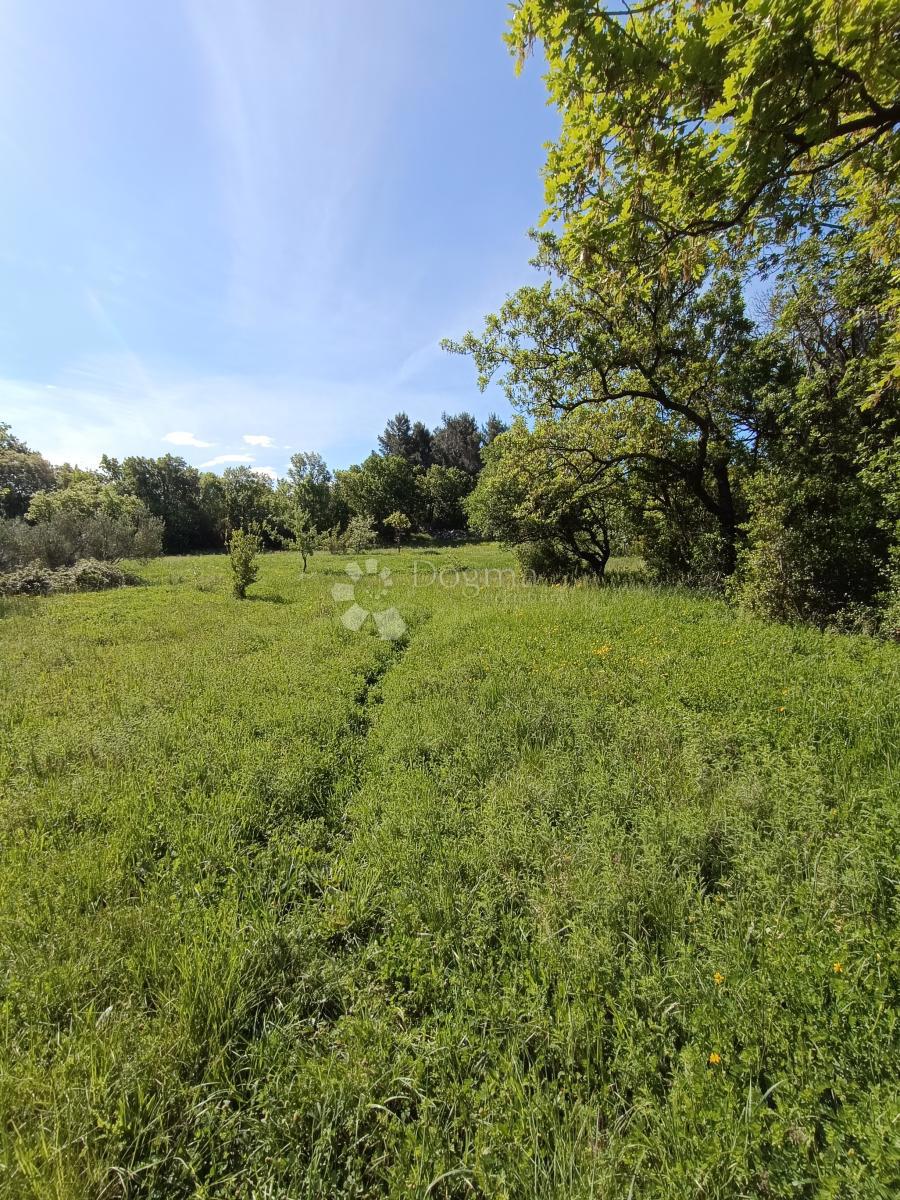 Kmetijsko zemljišče Seline, Starigrad, 537m2