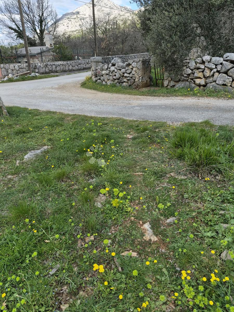 Kmetijsko zemljišče Seline, Starigrad, 537m2