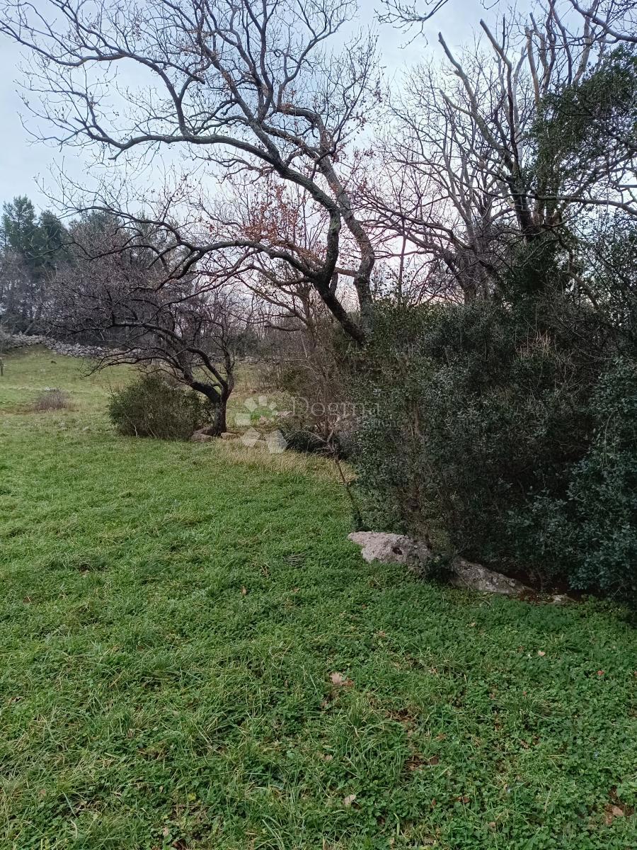 Kmetijsko zemljišče Seline, Starigrad, 537m2
