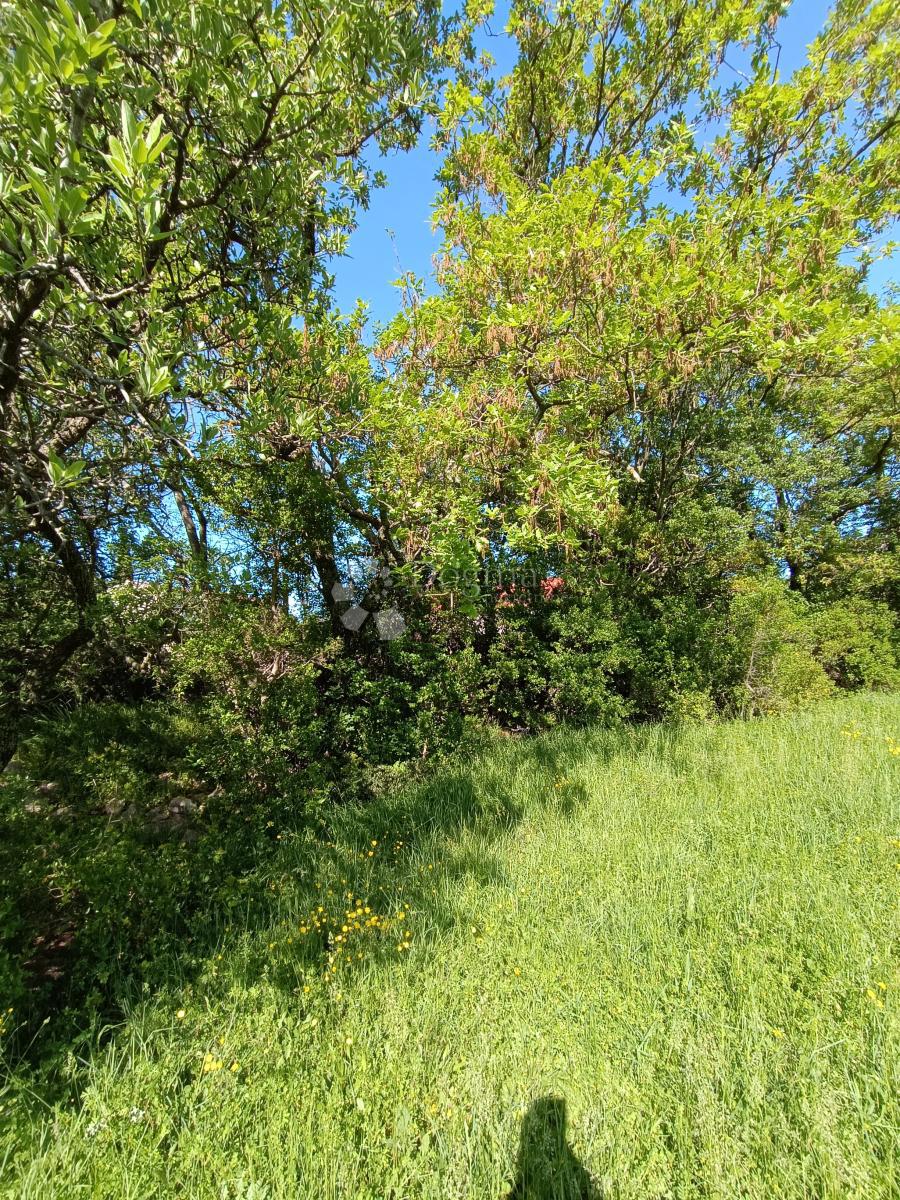 Kmetijsko zemljišče Seline, Starigrad, 537m2