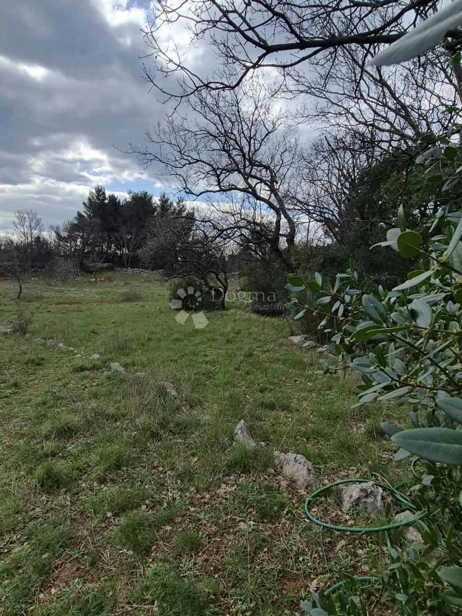 Kmetijsko zemljišče Seline, Starigrad, 537m2