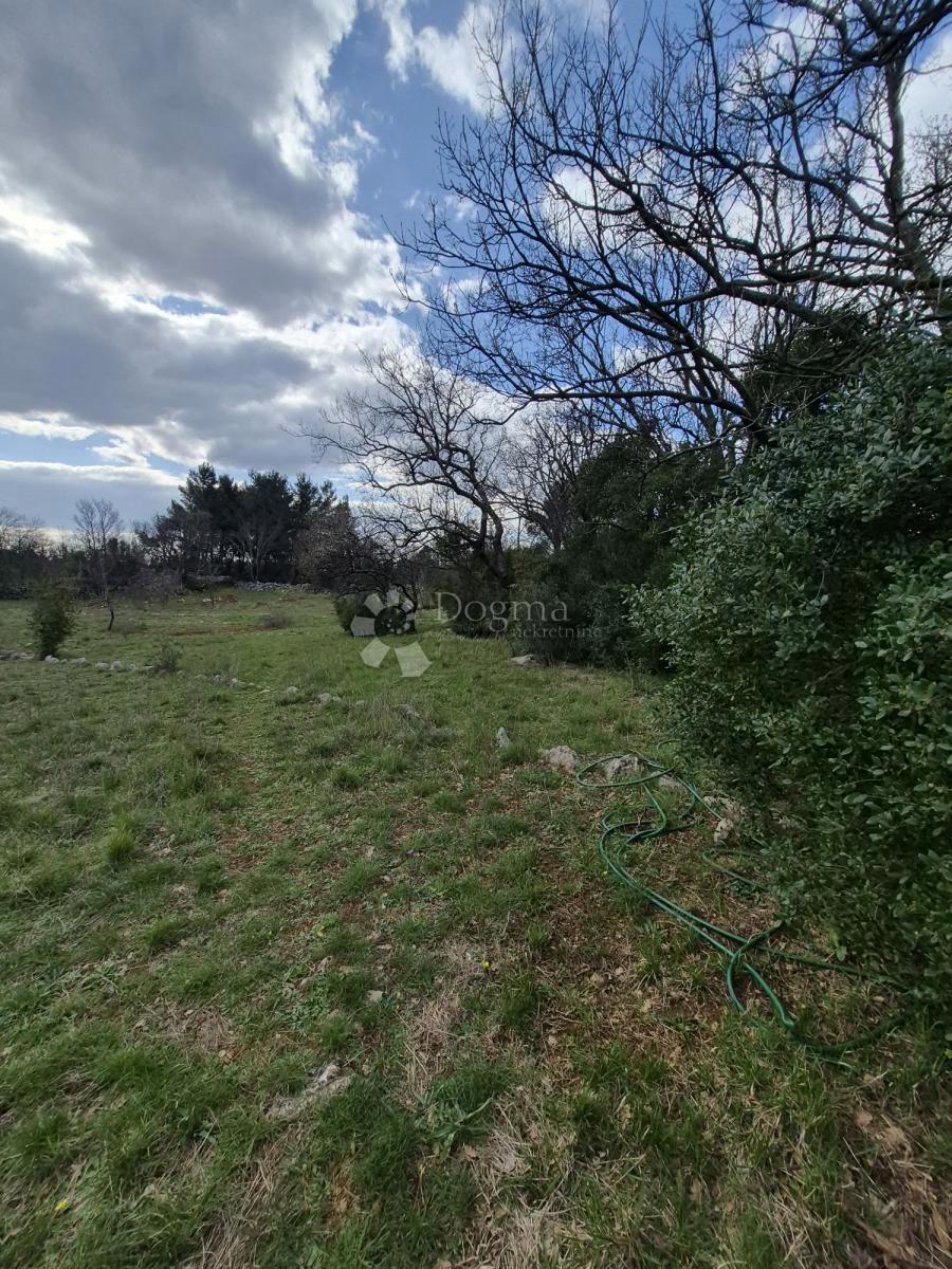 Kmetijsko zemljišče Seline, Starigrad, 537m2