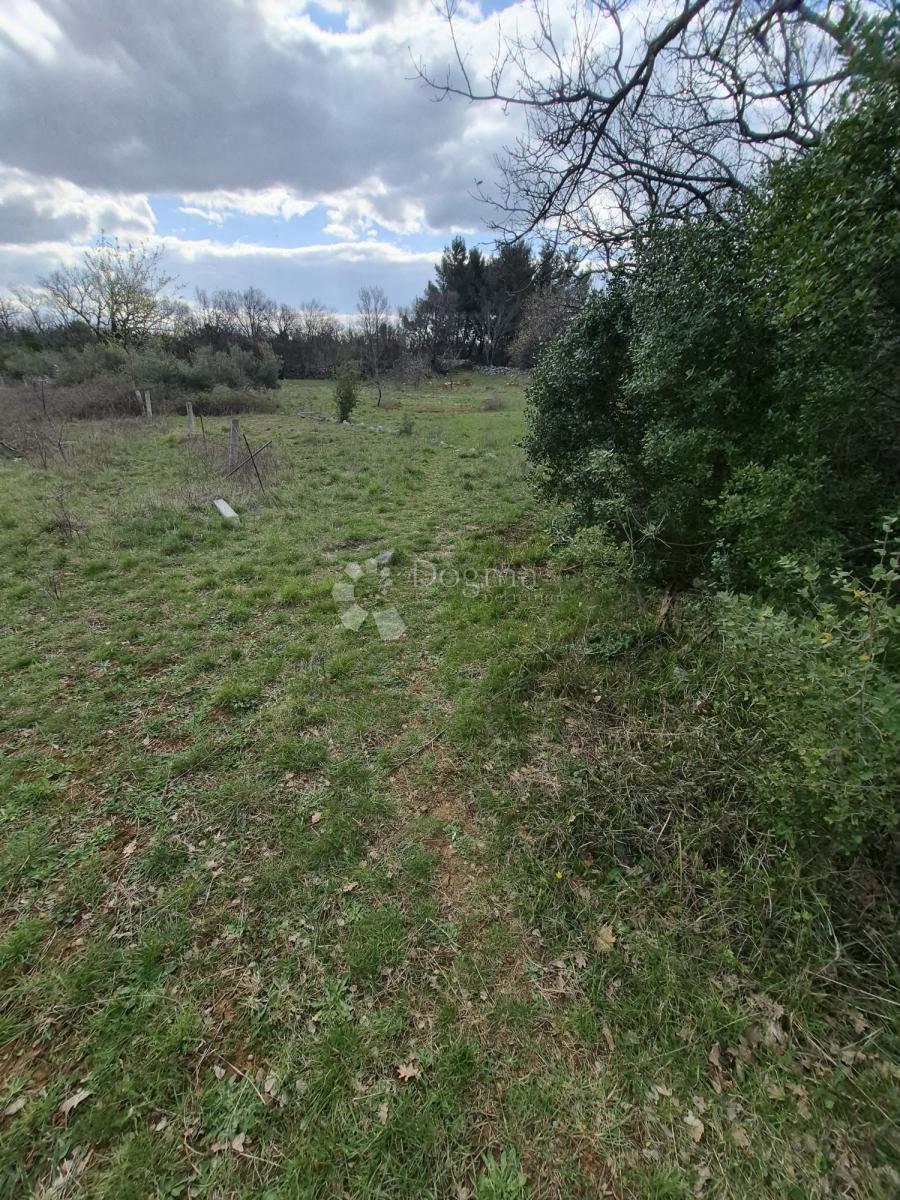 Kmetijsko zemljišče Seline, Starigrad, 537m2