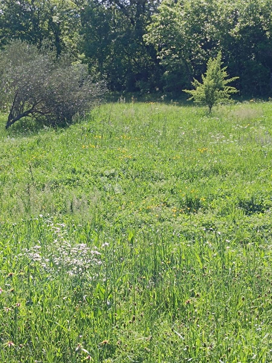 Kmetijsko zemljišče Seline, Starigrad, 537m2