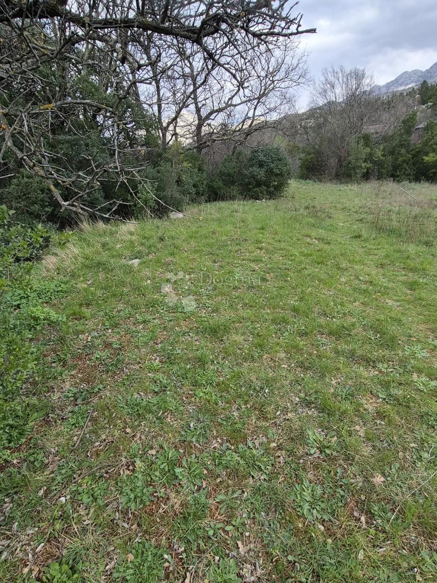 Kmetijsko zemljišče Seline, Starigrad, 537m2