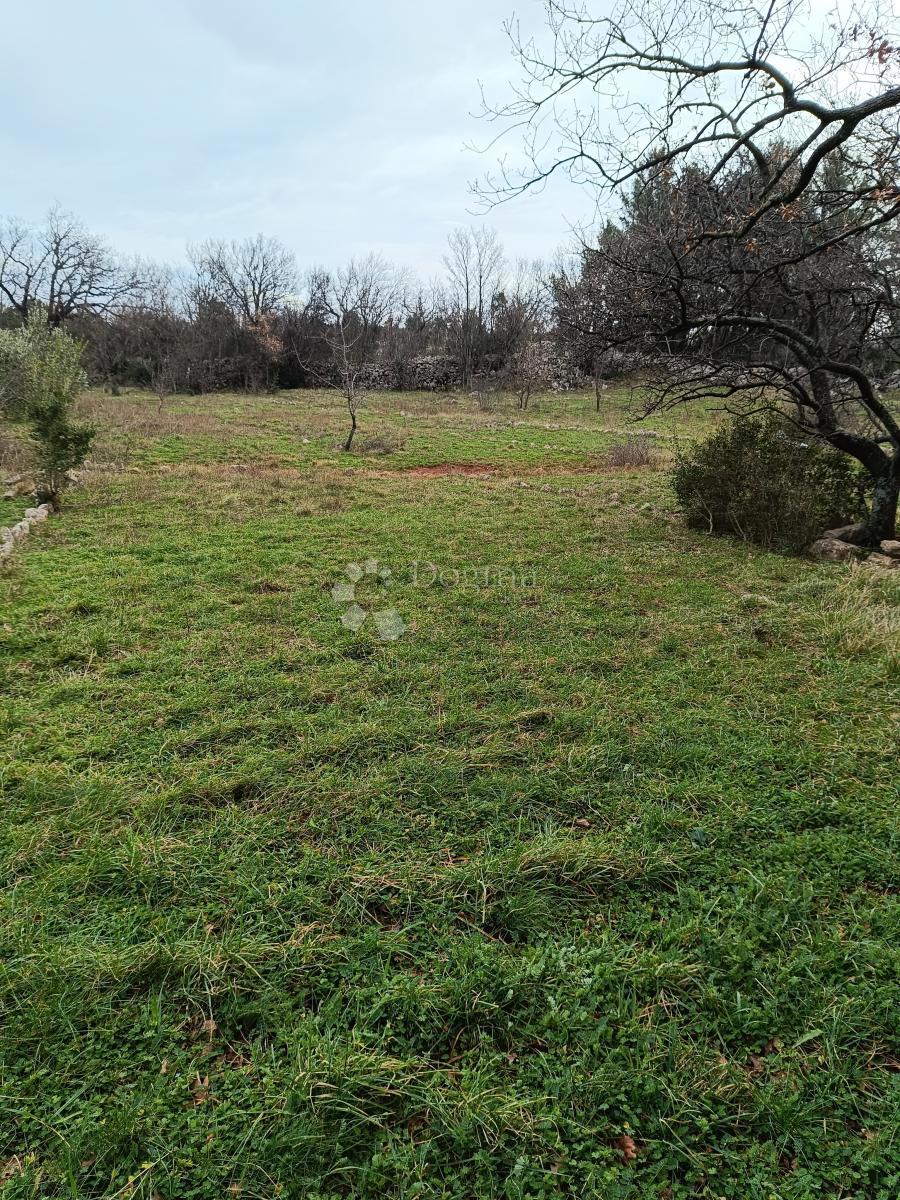 Kmetijsko zemljišče Seline, Starigrad, 537m2