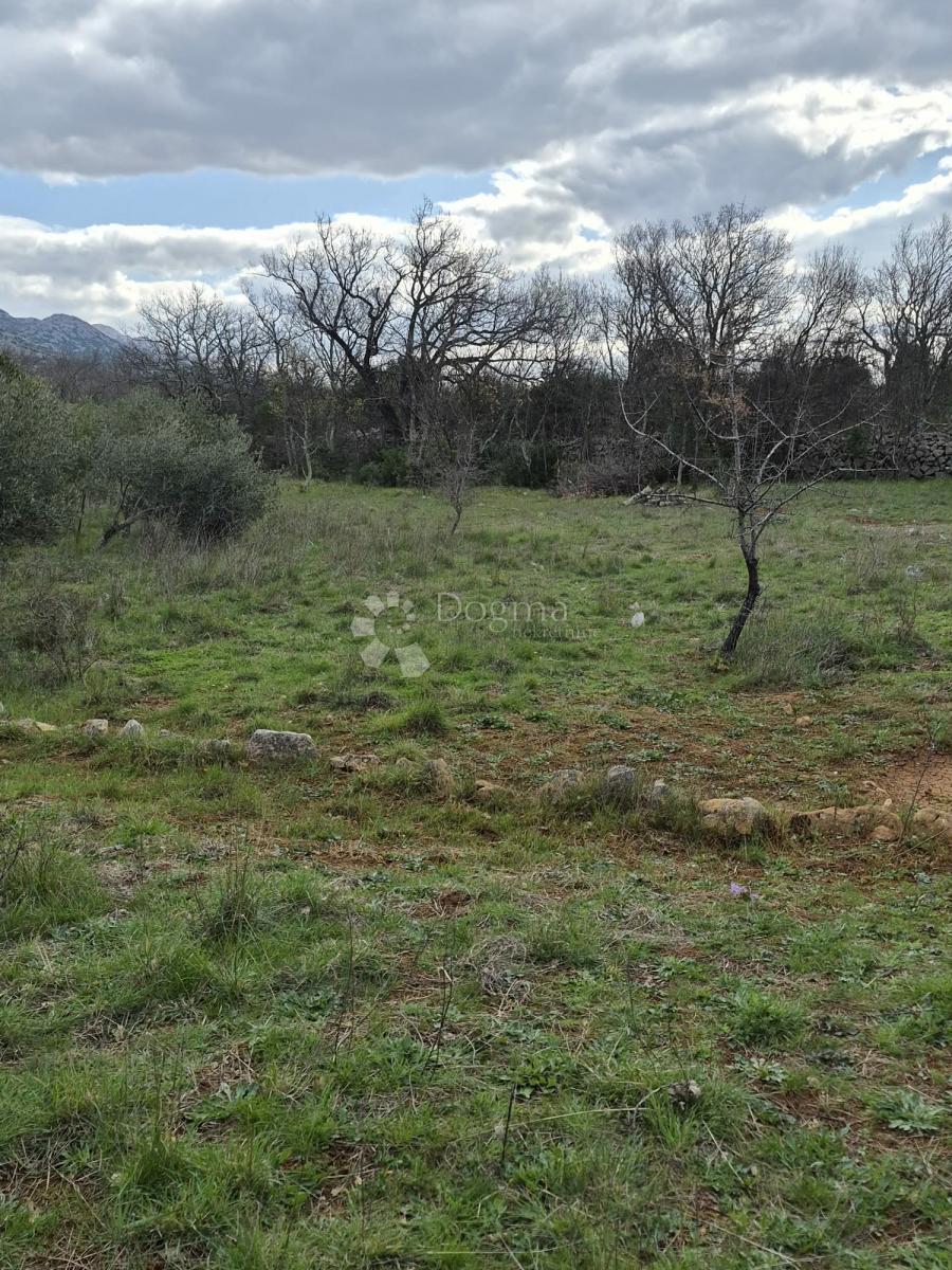 Kmetijsko zemljišče Seline, Starigrad, 537m2