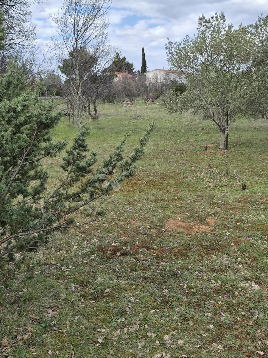 Kmetijsko zemljišče Seline, Starigrad, 537m2