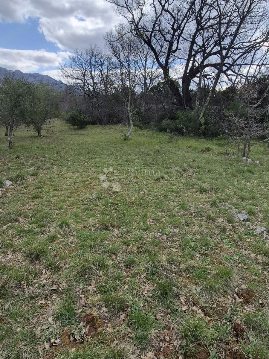 Kmetijsko zemljišče Seline, Starigrad, 537m2