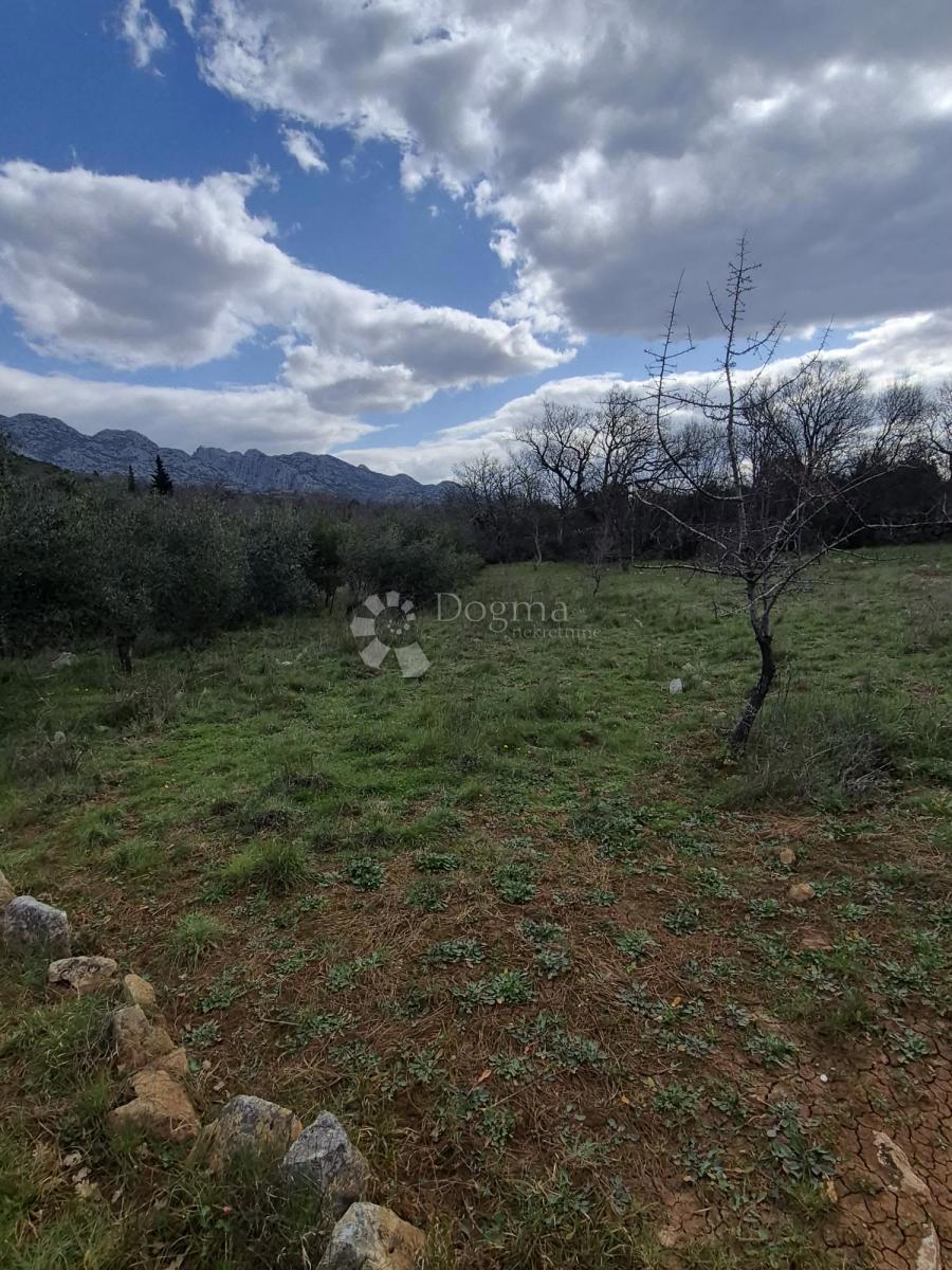 Kmetijsko zemljišče Seline, Starigrad, 537m2