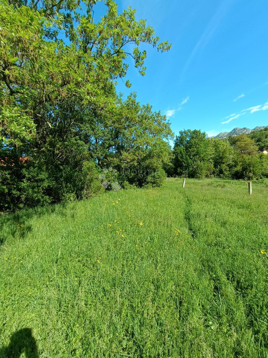 Kmetijsko zemljišče Seline, Starigrad, 537m2