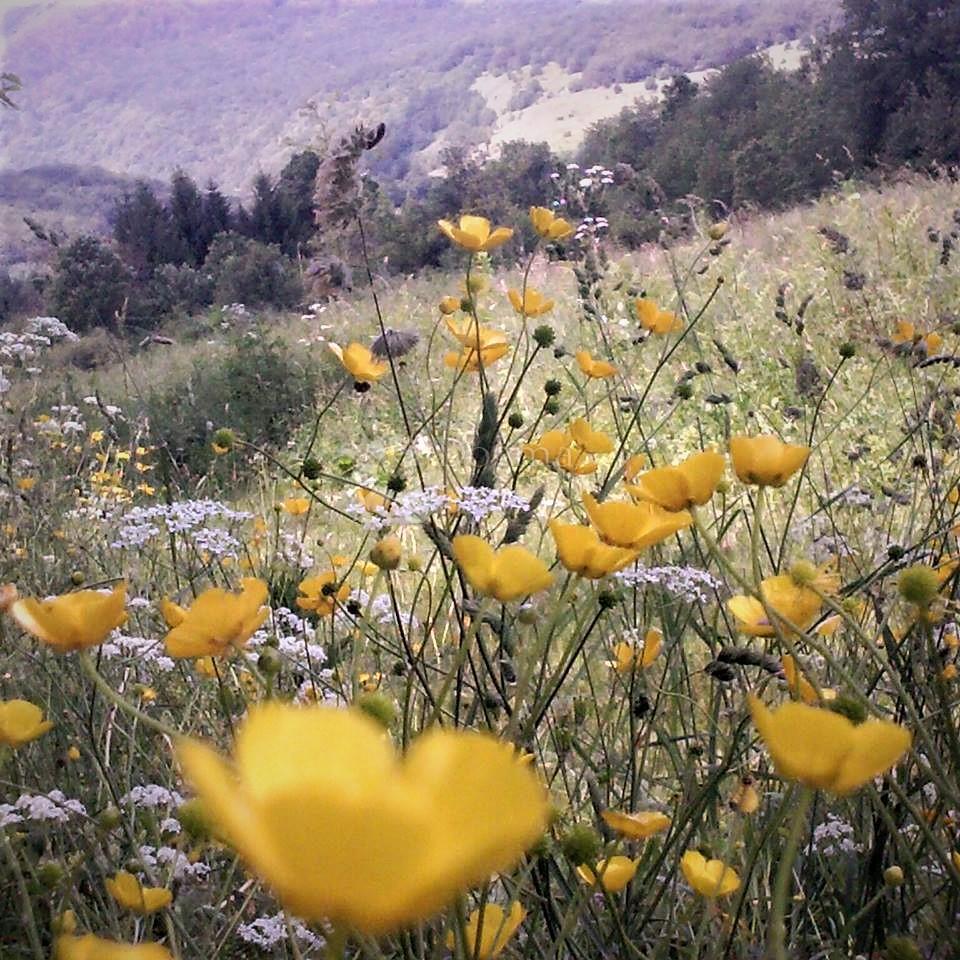 Zazidljivo zemljišče Centar, Gospić, 902m2