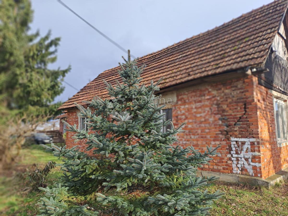 Hiša Gvozd, 245,41m2