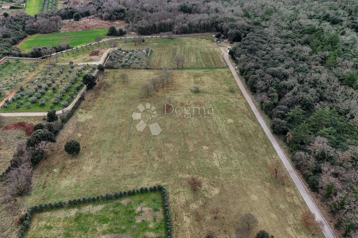 Zazidljivo zemljišče Galižana, Vodnjan, 20.512m2