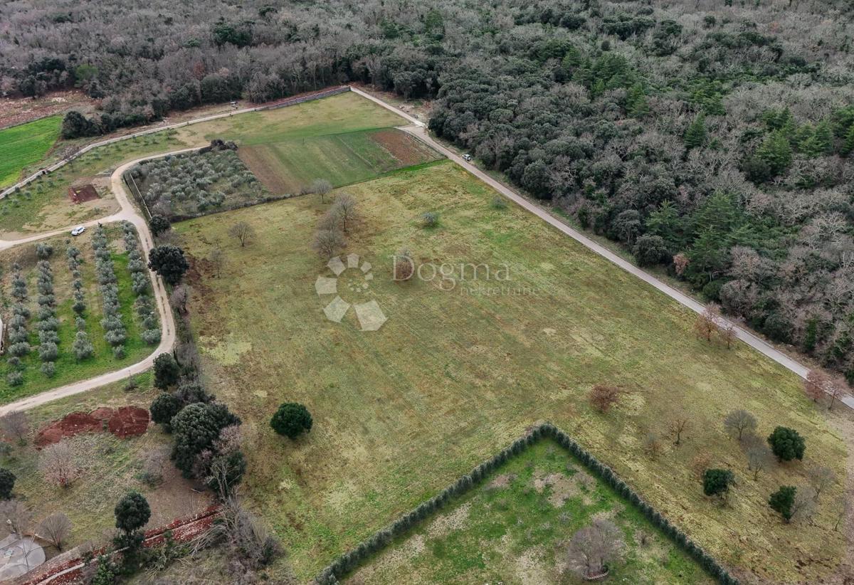 Zazidljivo zemljišče Galižana, Vodnjan, 20.512m2