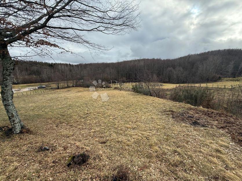 Hiša Donje Pazarište, Gospić - Okolica, 100m2