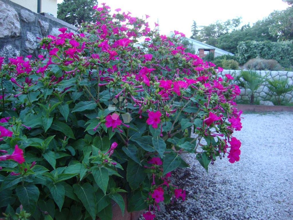 Hiša Novi Vinodolski, 262m2