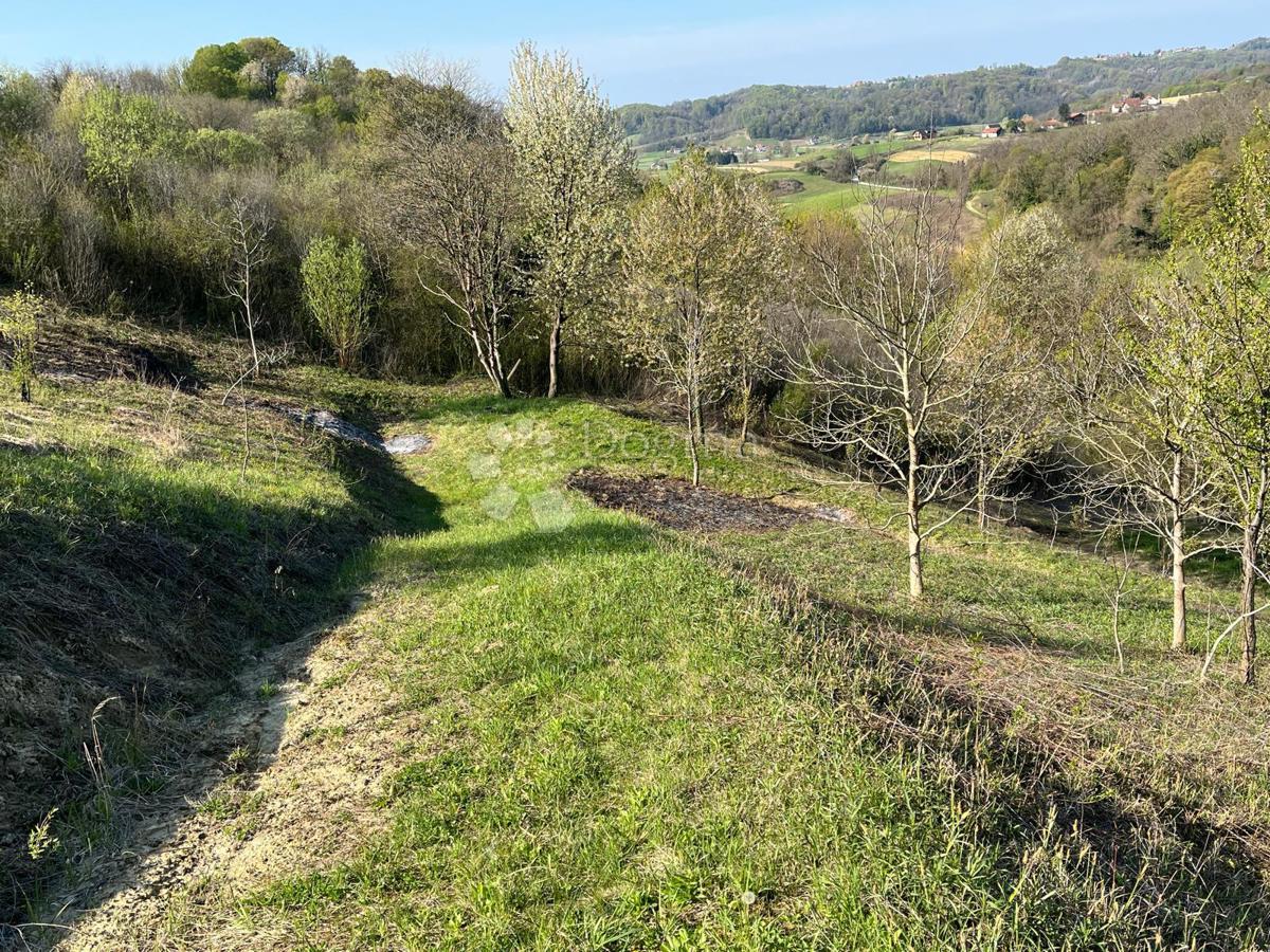 Zazidljivo zemljišče Velika Erpenja, Veliko Trgovišće, 8.518m2