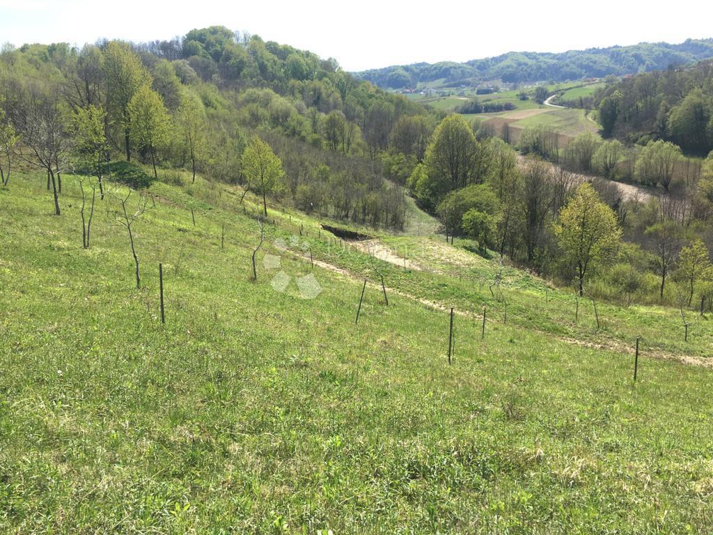Zazidljivo zemljišče Velika Erpenja, Veliko Trgovišće, 8.518m2