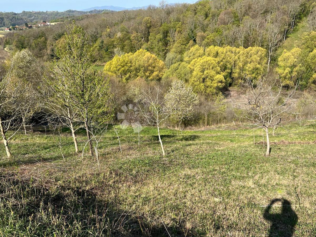 Zazidljivo zemljišče Velika Erpenja, Veliko Trgovišće, 8.518m2