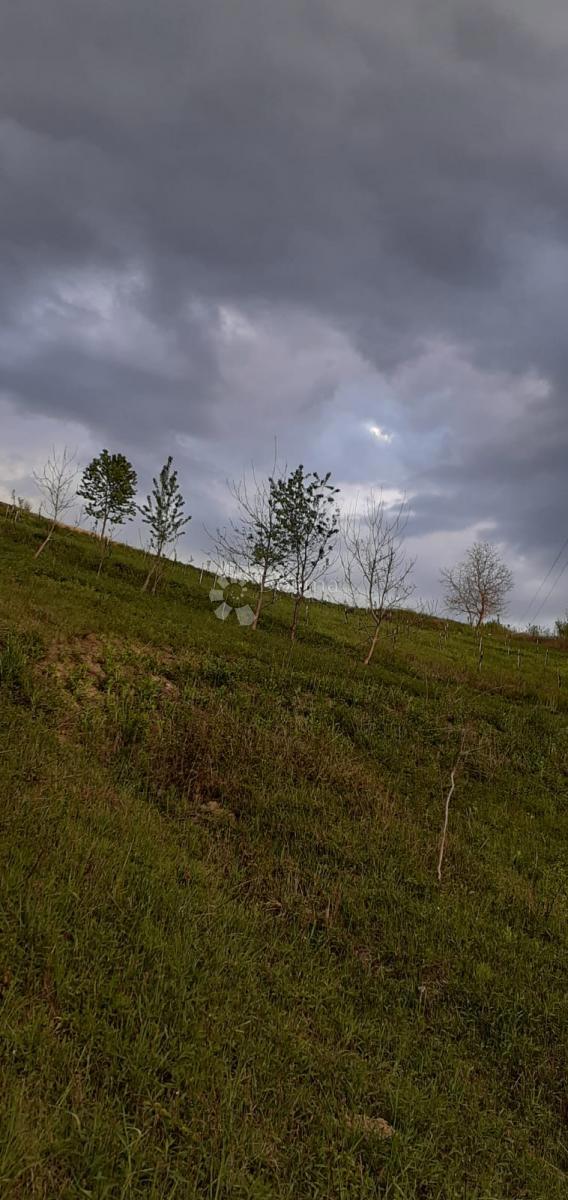 Zazidljivo zemljišče Velika Erpenja, Veliko Trgovišće, 8.518m2