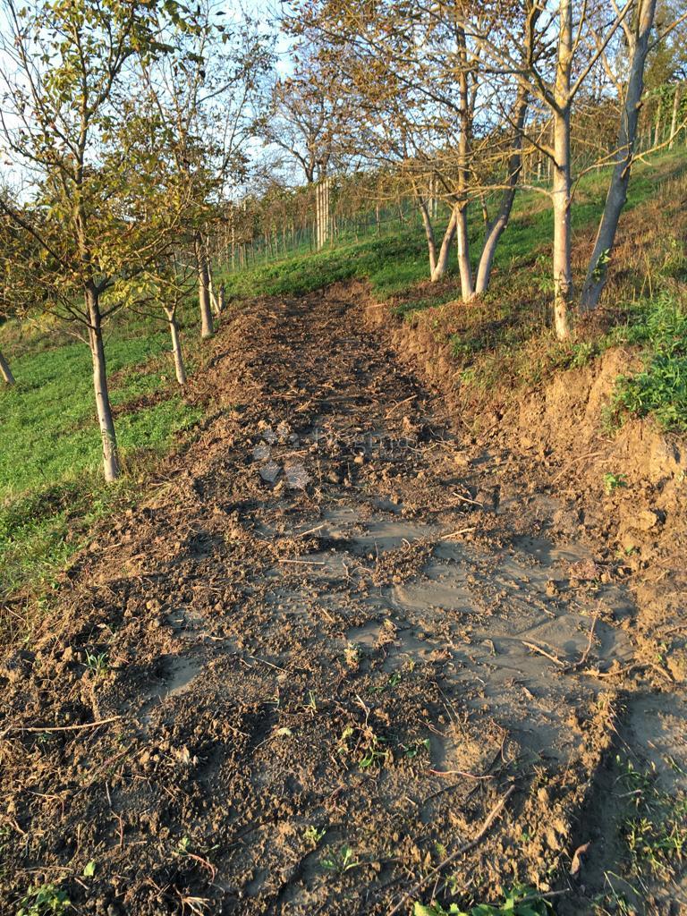 Zazidljivo zemljišče Velika Erpenja, Veliko Trgovišće, 8.518m2