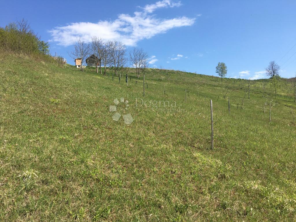 Zazidljivo zemljišče Velika Erpenja, Veliko Trgovišće, 8.518m2