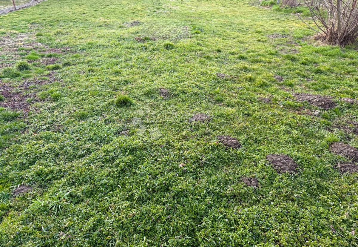 Zazidljivo zemljišče Mursko Središće, 427m2