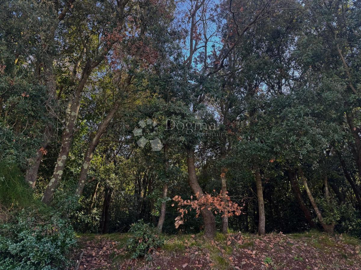 Zazidljivo zemljišče Veruda, Pula, 1.553m2