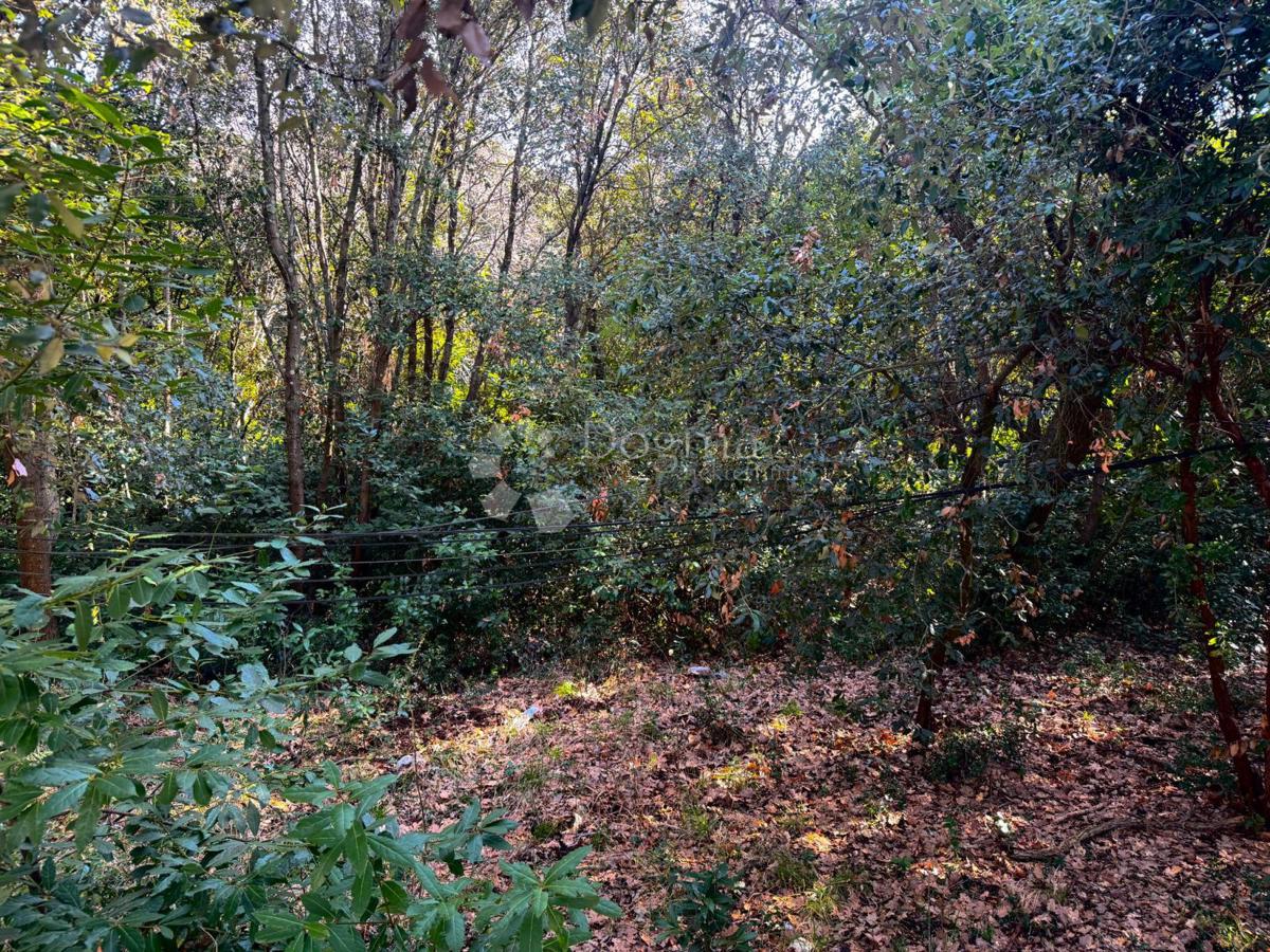 Zazidljivo zemljišče Veruda, Pula, 1.553m2