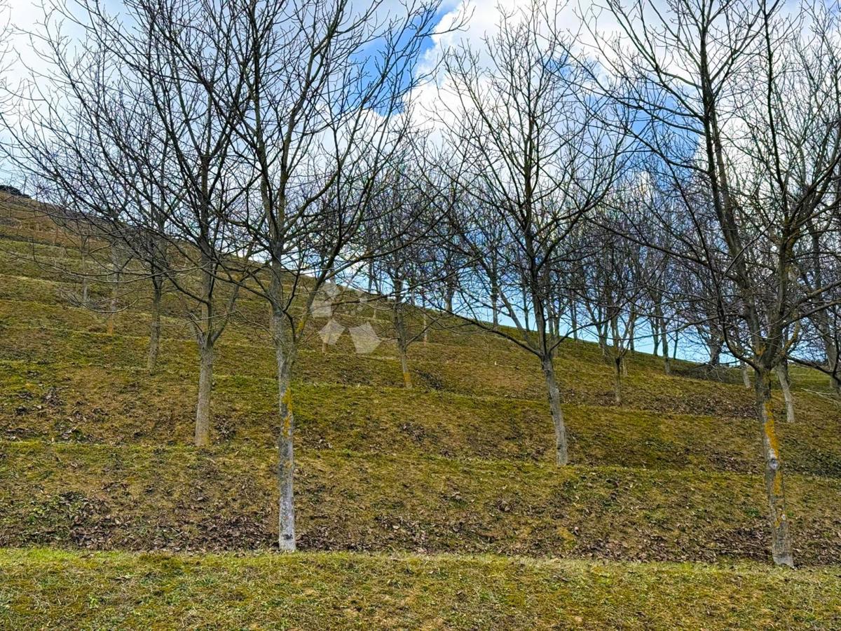 Zazidljivo zemljišče Vinica Breg, Vinica, 6.495m2