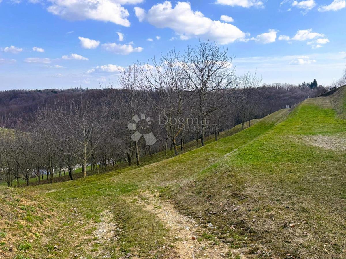 Zazidljivo zemljišče Vinica Breg, Vinica, 6.495m2