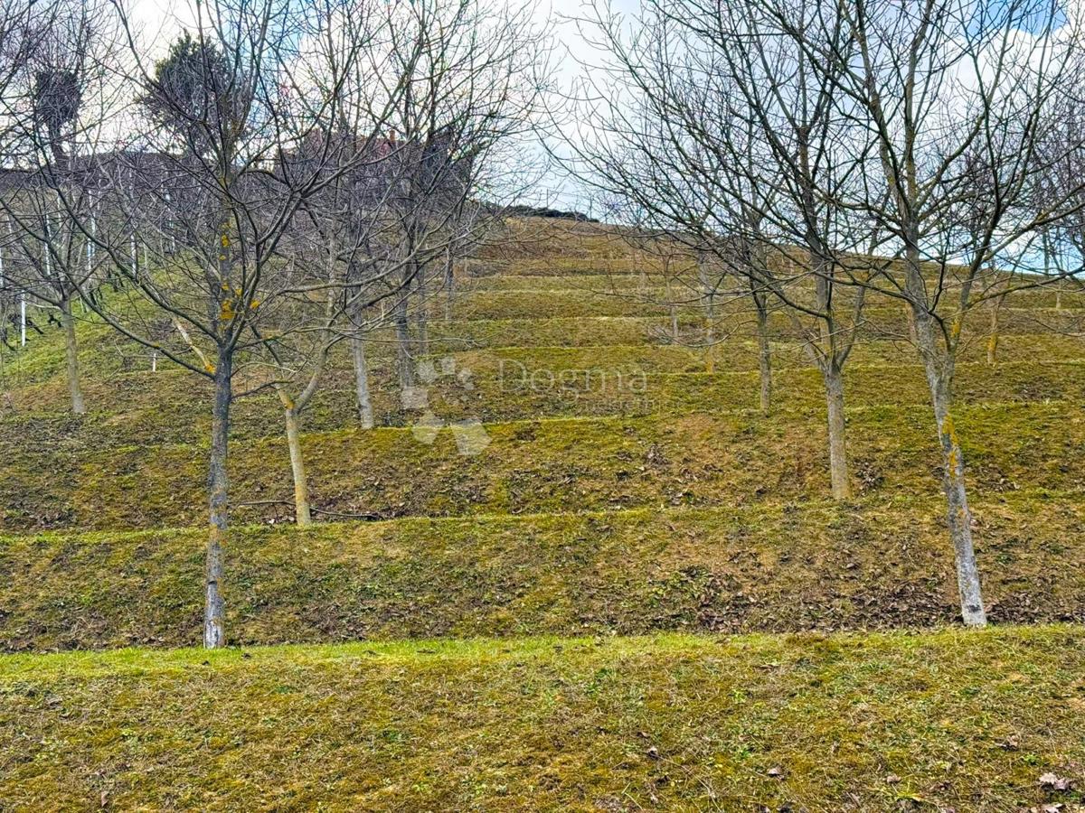 Zazidljivo zemljišče Vinica Breg, Vinica, 6.495m2