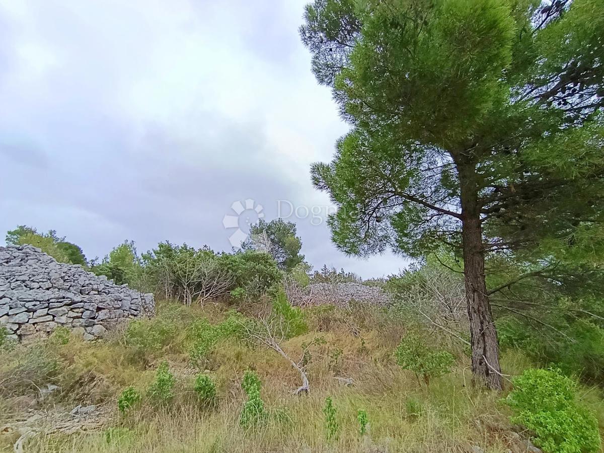 Kmetijsko zemljišče Milna, 9.168m2