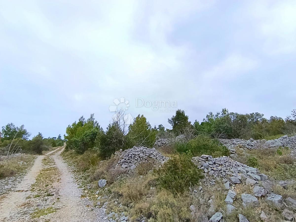 Kmetijsko zemljišče Milna, 9.168m2