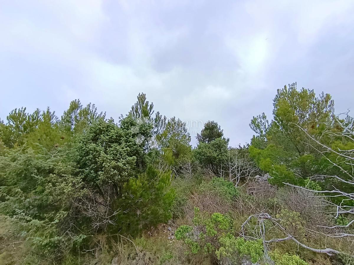 Kmetijsko zemljišče Milna, 9.168m2