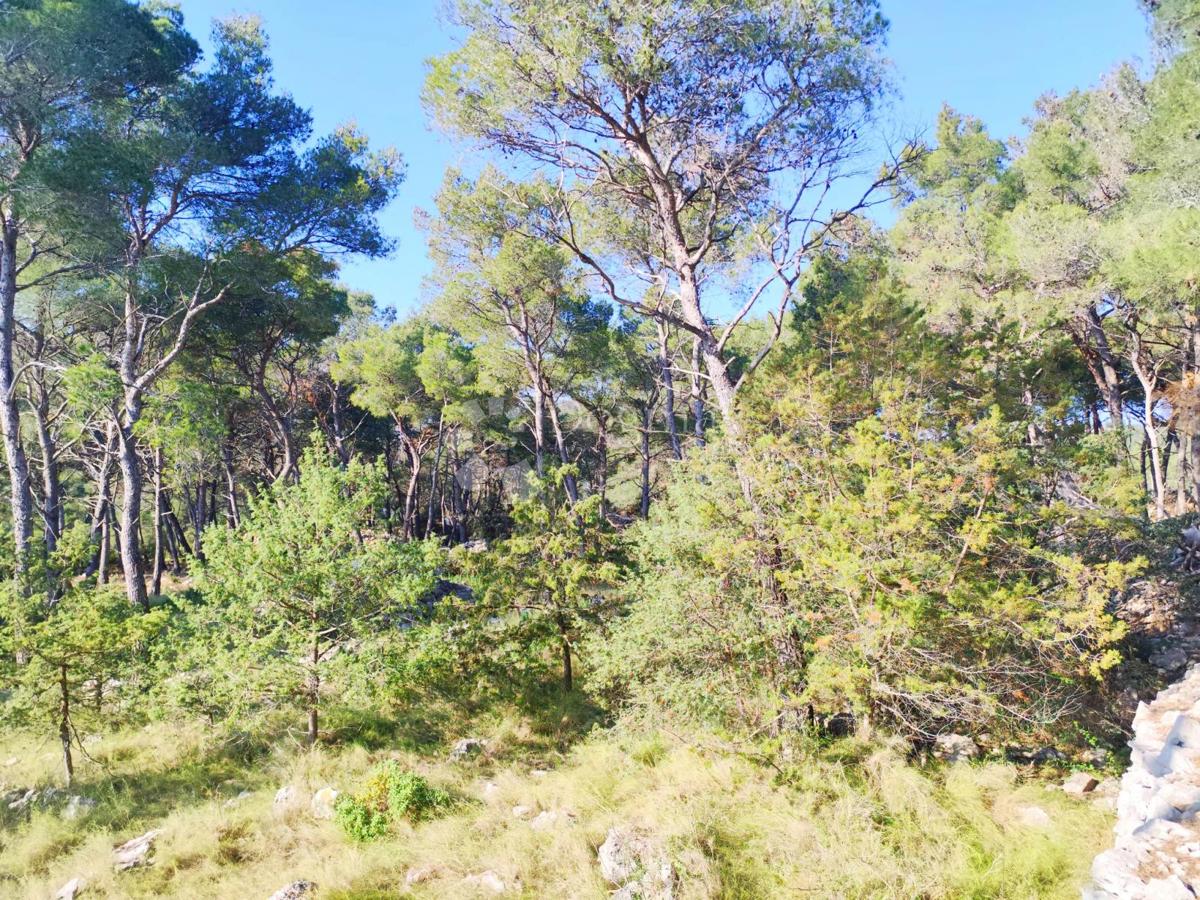 Kmetijsko zemljišče Milna, 7.841m2