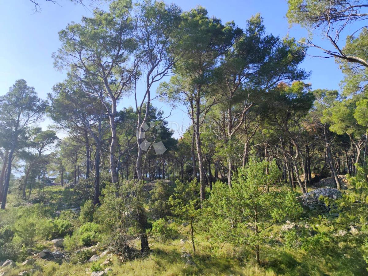 Kmetijsko zemljišče Milna, 7.841m2