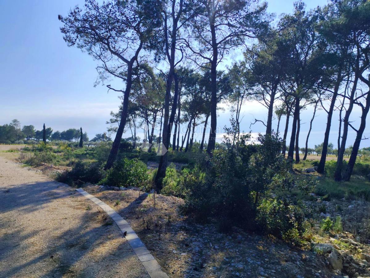 Kmetijsko zemljišče Milna, 7.841m2