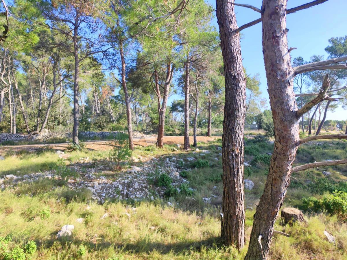 Kmetijsko zemljišče Milna, 7.841m2