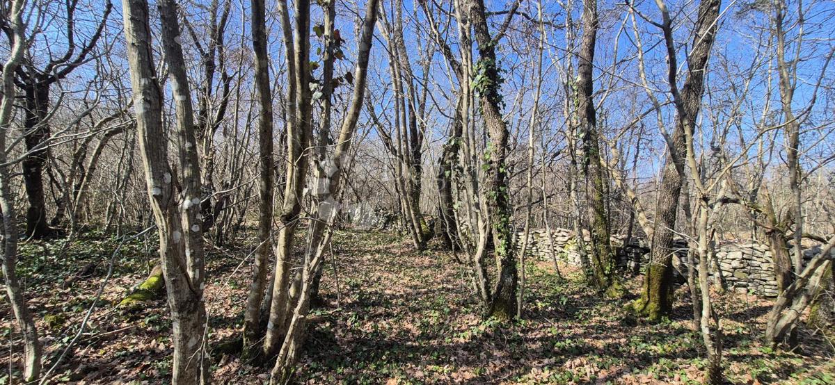 Kmetijsko zemljišče Glavani, Barban, 23.953m2