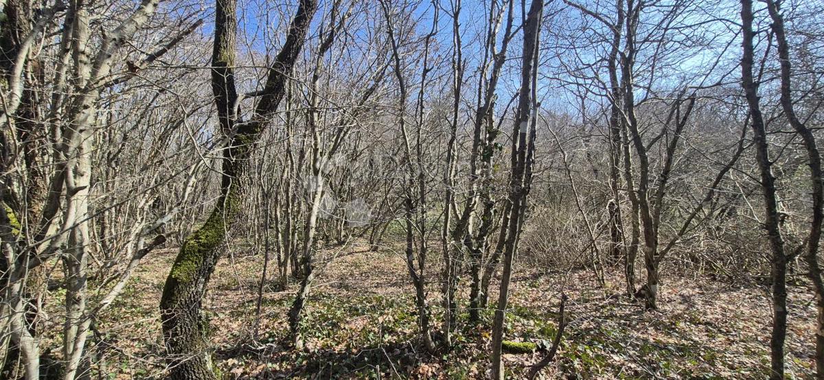 Kmetijsko zemljišče Glavani, Barban, 23.953m2