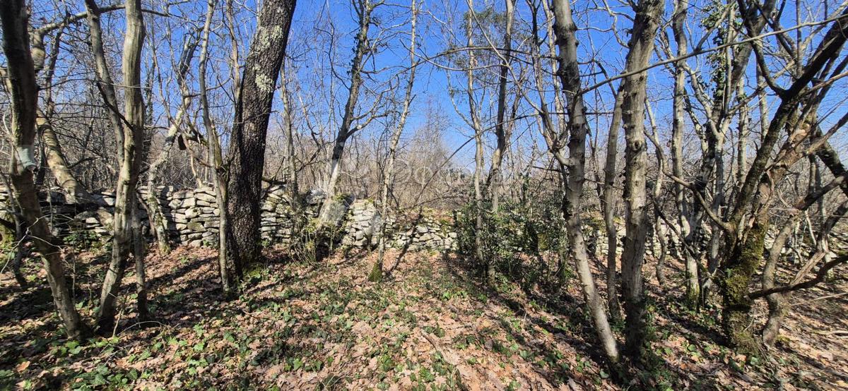 Kmetijsko zemljišče Glavani, Barban, 23.953m2