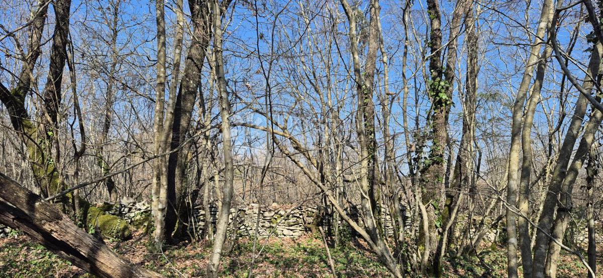 Kmetijsko zemljišče Glavani, Barban, 23.953m2